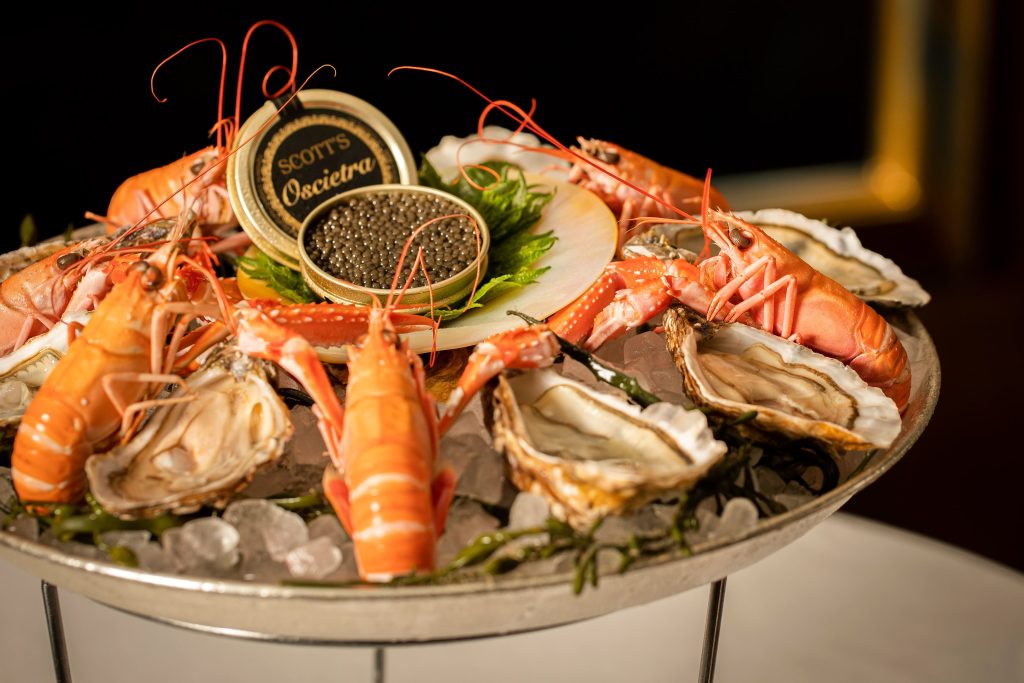 City Center Oyster Point sebagai Destinasi Kuliner Seafood Berkelas